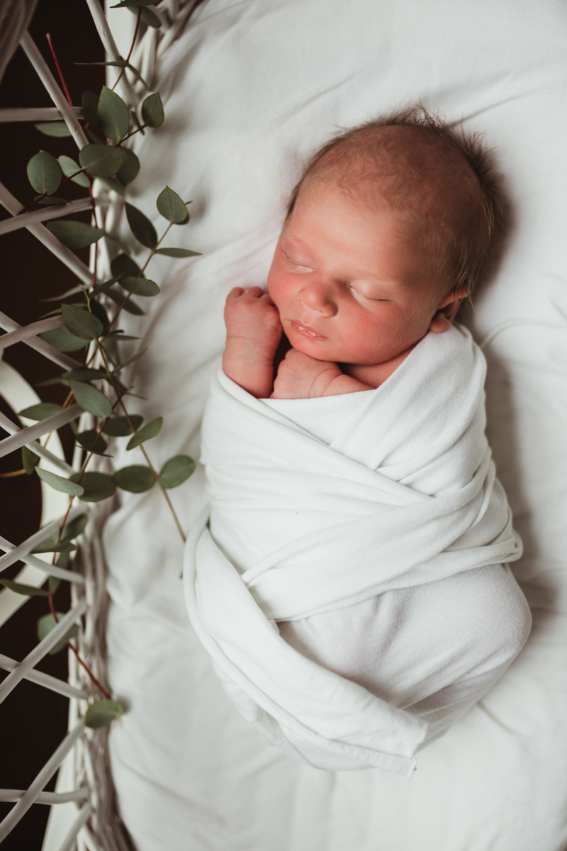 newborn with eucalyptus