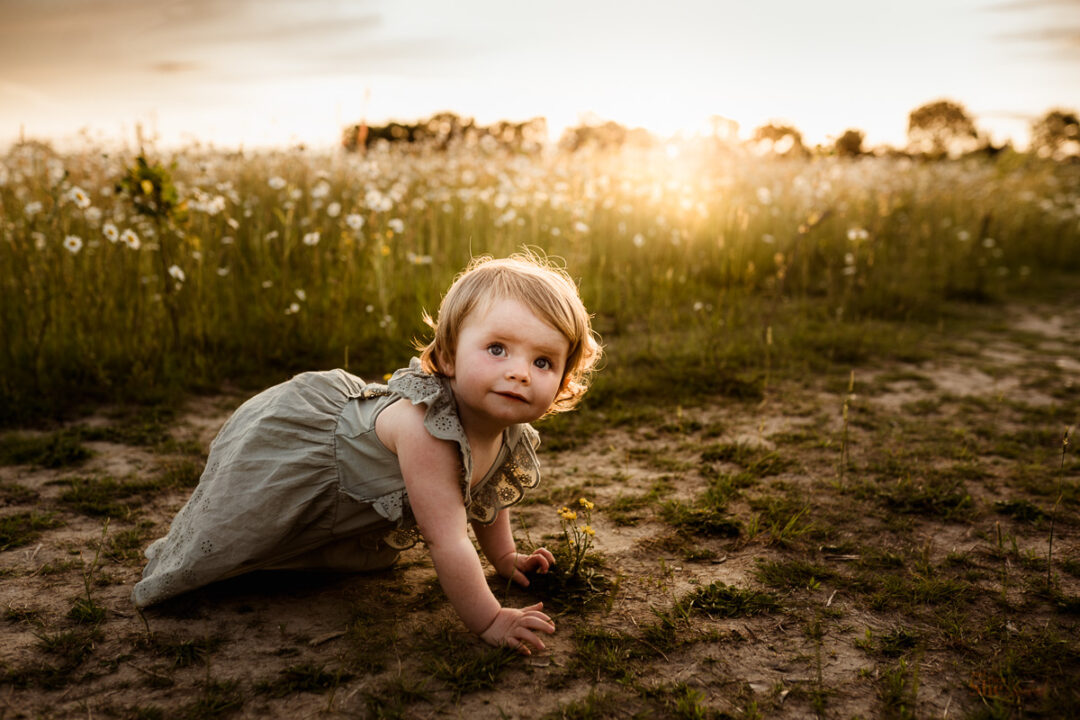Childrens photographer in the daisy field Bracknell and then she clicked
